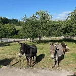 G1541