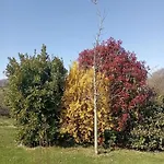G1541 度假居 *