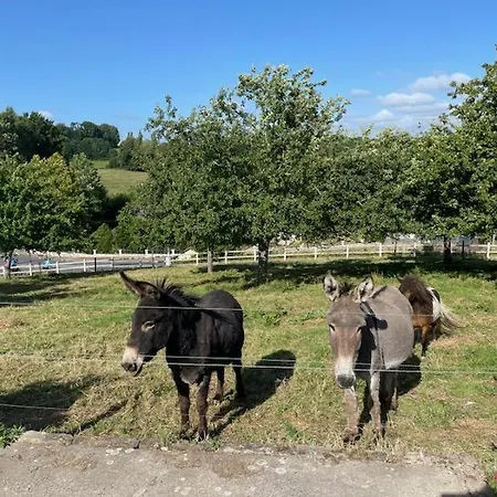 Gite Gites De France - La P'Tite Maison De Papito Et Mamito