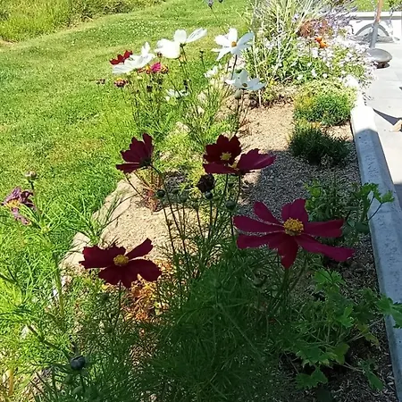 Gite Gites De France - La P'Tite Maison De Papito Et Mamito