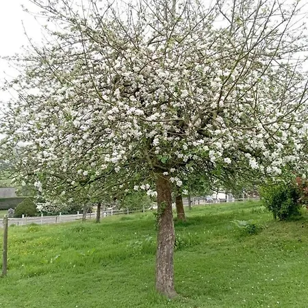 G1541