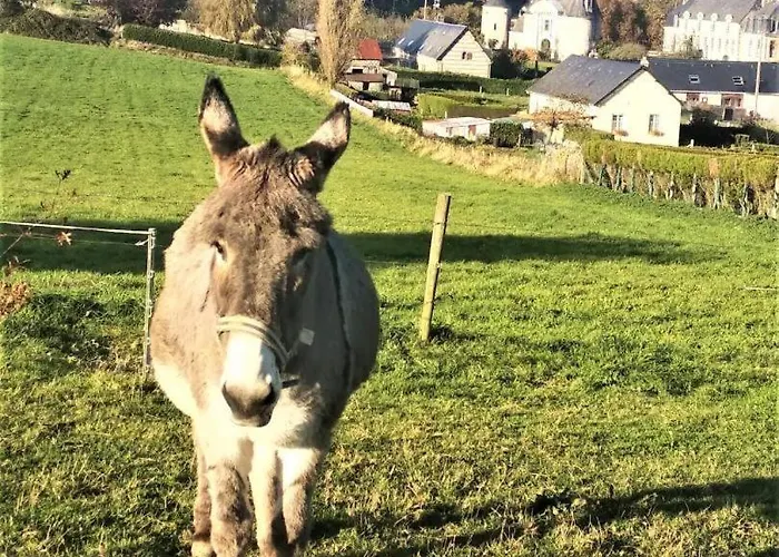 Gite Gites De France - La P'Tite Maison De Papito Et Mamito Vakantiehuis Saint-Martin-du-Bec