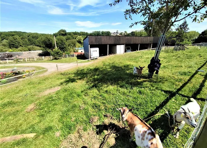 Gite Gites De France - La P'Tite Maison De Papito Et Mamito Holiday home