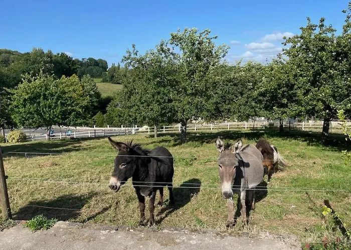 Gite Gites De France - La P'Tite Maison De Papito Et Mamito