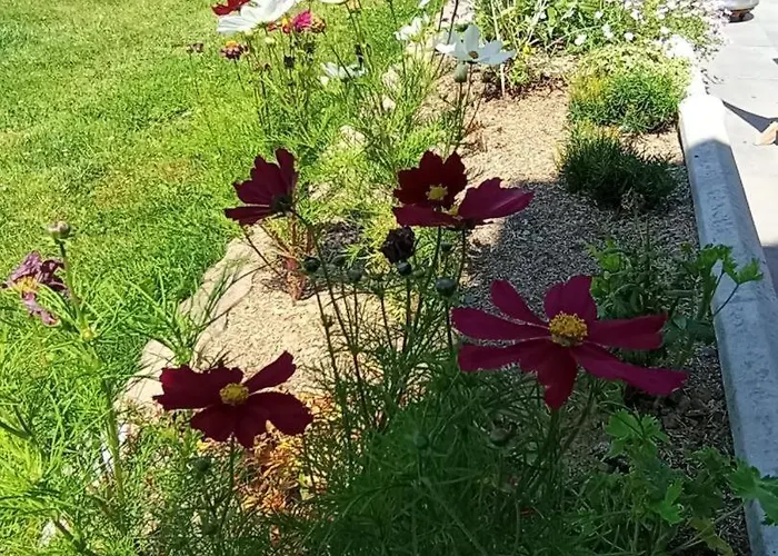 Gite Gites De France - La P'Tite Maison De Papito Et Mamito