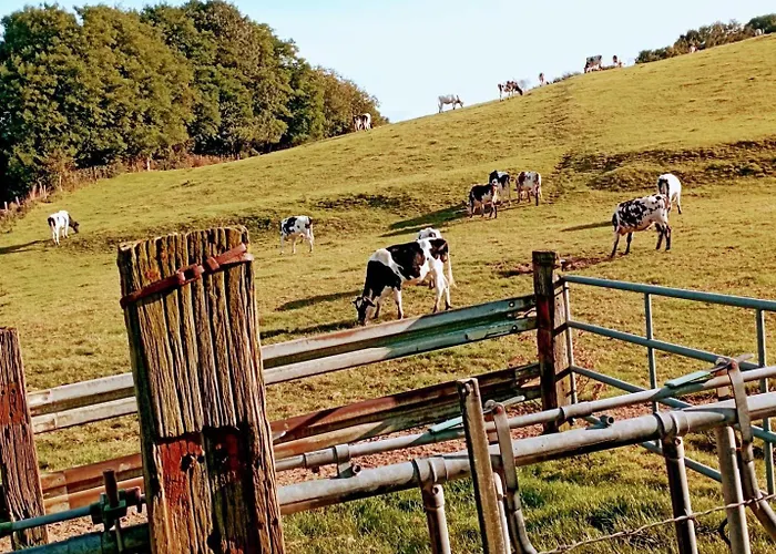 Gite Gites De France - La P'Tite Maison De Papito Et Mamito Vakantiehuis