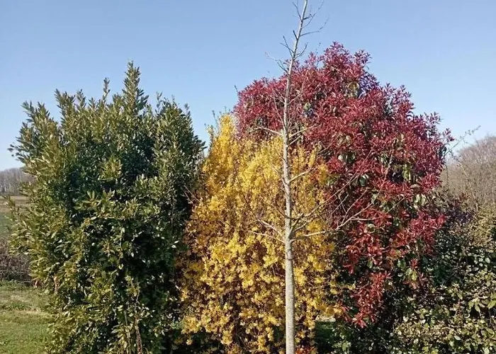 Gite Gites De France - La P'Tite Maison De Papito Et Mamito Holiday home *