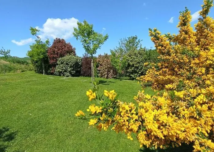 Vakantiehuis Gite Gites De France - La P'Tite Maison De Papito Et Mamito