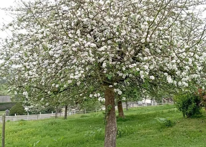 Gite Gites De France - La P'Tite Maison De Papito Et Mamito